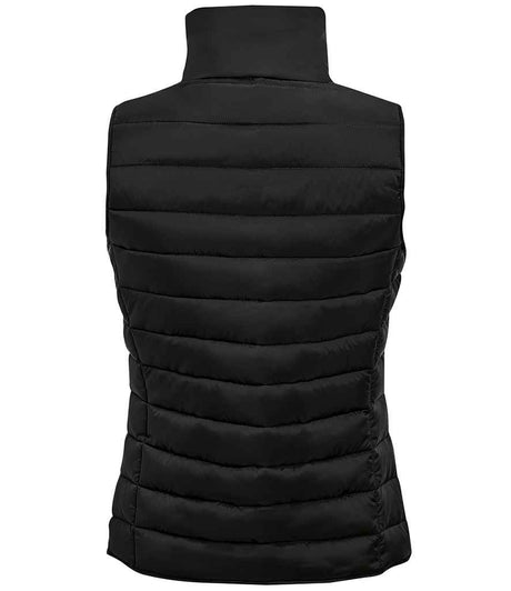 01437 Black Back