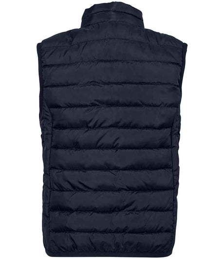 04446 French Navy Back