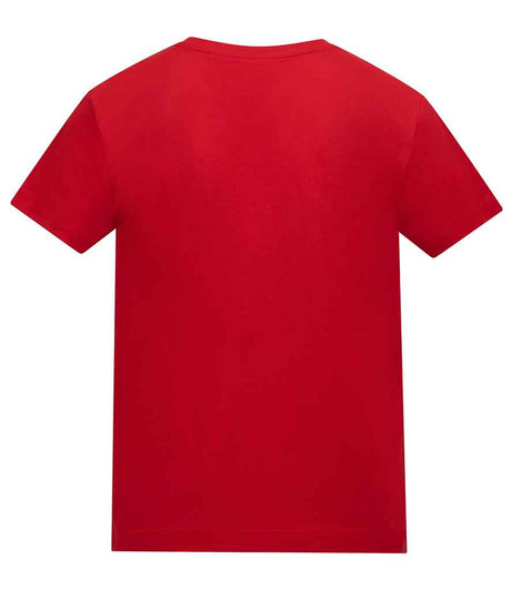 AT002B Fire Red Back