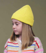 BB381B Lemon Model