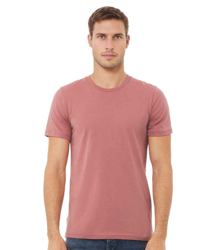 CV3001 Mauve Model