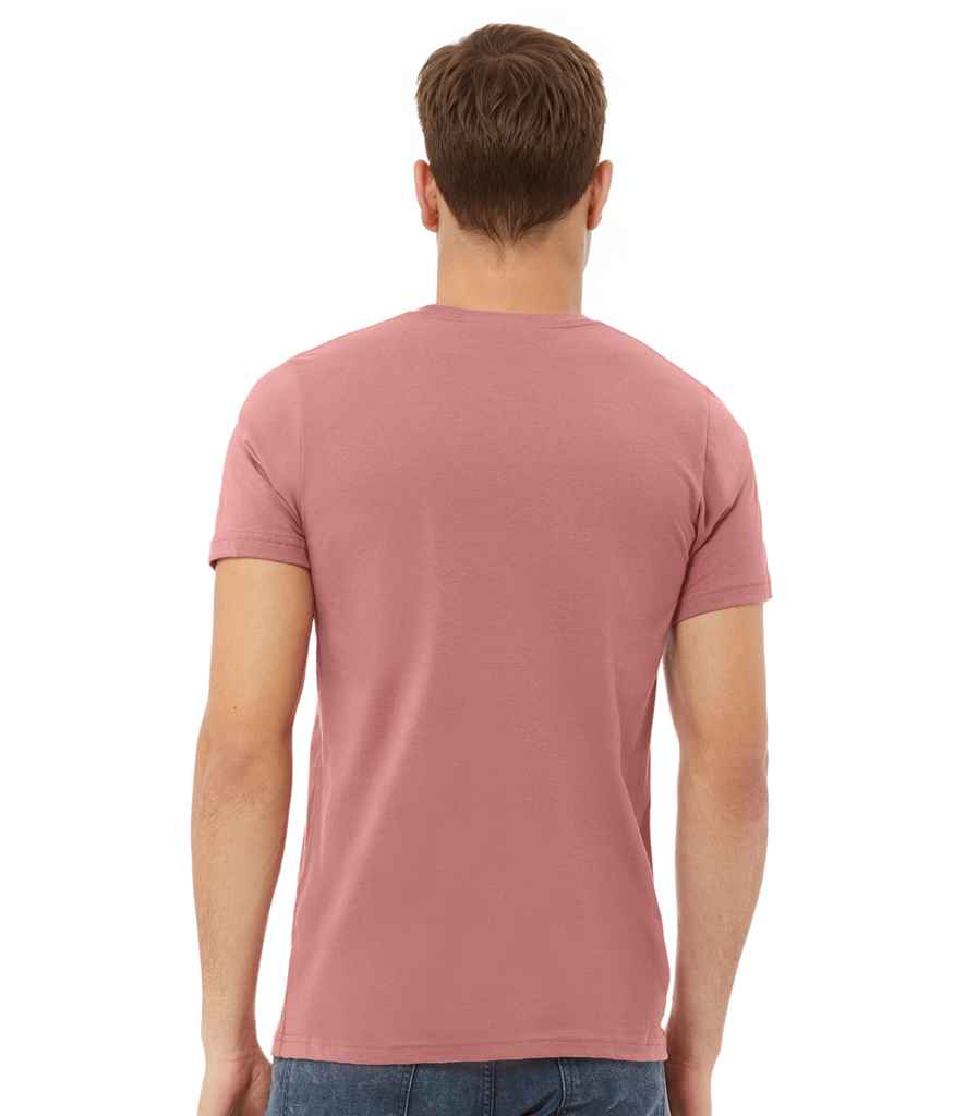 CV3001 Mauve Model