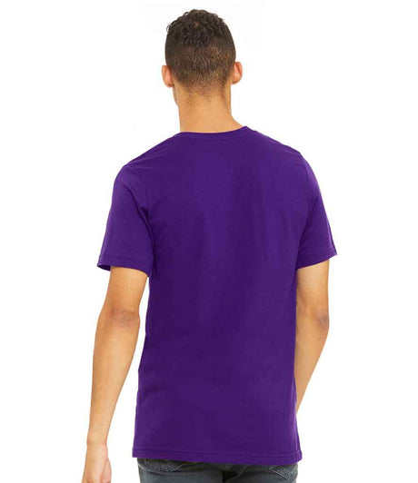 CV3001 Team Purple Model