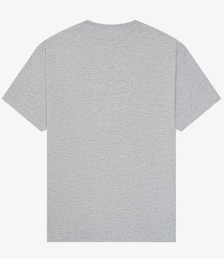 CV3010 Athletic Heather Back