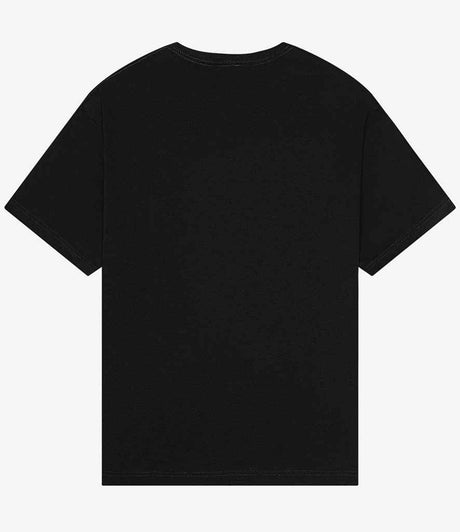 CV3010 Black Back