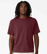 CV3010 Maroon Model
