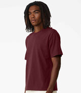 CV3010 Maroon Model