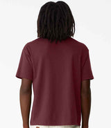 CV3010 Maroon Model