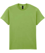 GD02 Kiwi Front