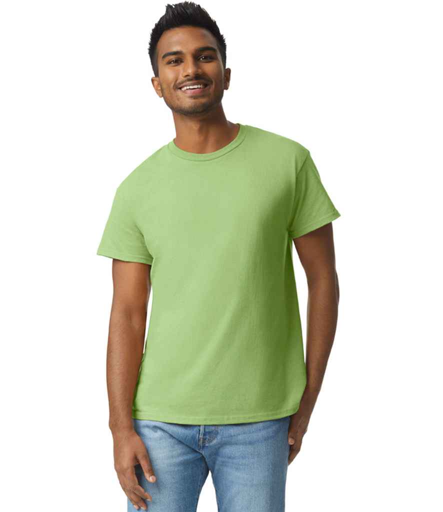 GD02 Kiwi Model