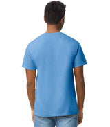 GD05 Carolina Blue Model