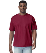 GD201 Garnet Model