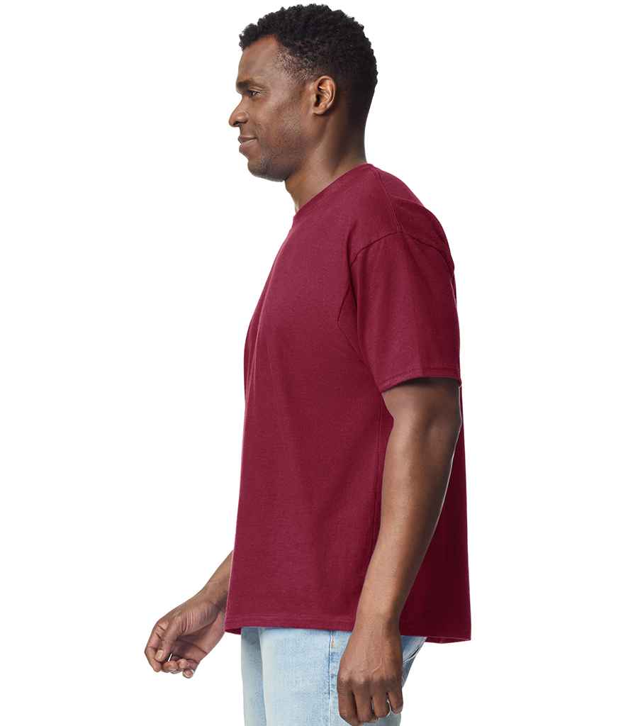 GD201 Garnet Model