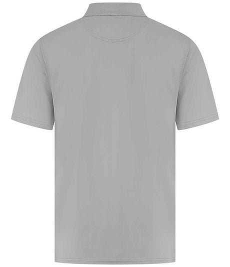 H475 Silver Back