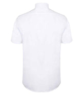 H517R White Back