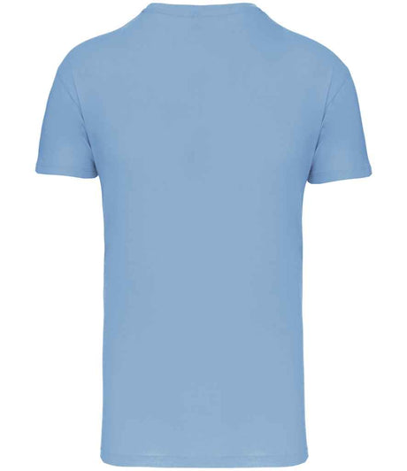 KB3025IC Sky Blue Back