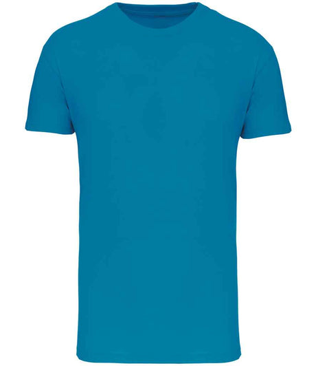 KB3025IC Tropical Blue Front
