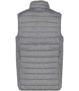 KB6113 Marl Silver Back
