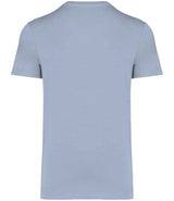 NS305 Aquamarine Back