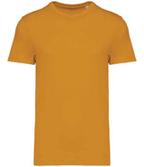 NS305 Curcuma Front