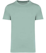 NS305 Jade Green Front