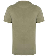 NS311 Almond Green Back
