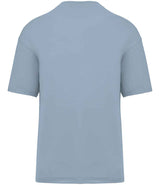 NS332 Aquamarine Back