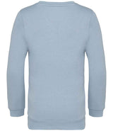 NS403 Aquamarine Back