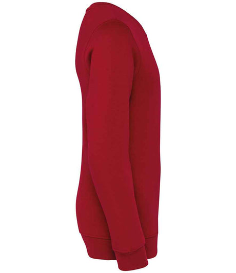 NS403 Hibiscus Red Right