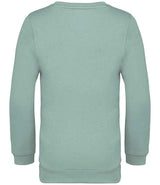 NS403 Jade Green Back