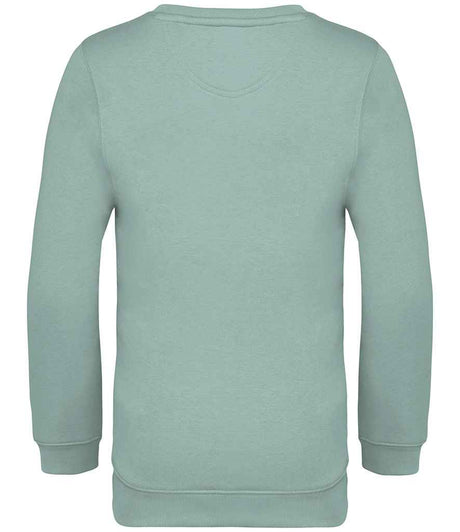 NS403 Jade Green Back