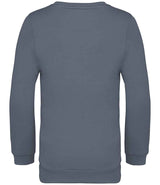 NS403 Mineral Grey Back