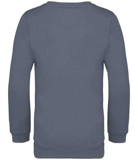 NS403 Mineral Grey Back