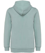 NS405 Jade Green Back