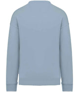 NS407 Aquamarine Back