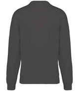 NS407 Iron Grey Back