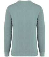 NS414 Washed Jade Green Back