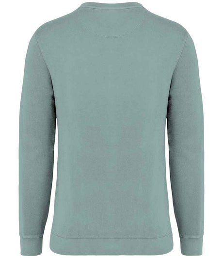 NS414 Washed Jade Green Back