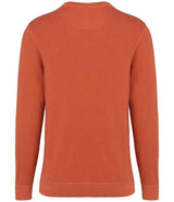 NS414 Washed Pomelo Back