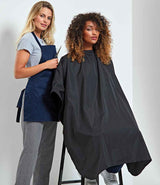 PR116 Black Model