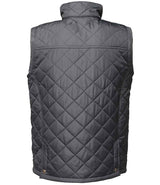 RG187 Navy Back