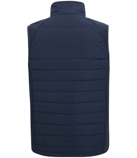 RG735 Navy/Ash Back
