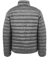 RS912 Frost Grey Back