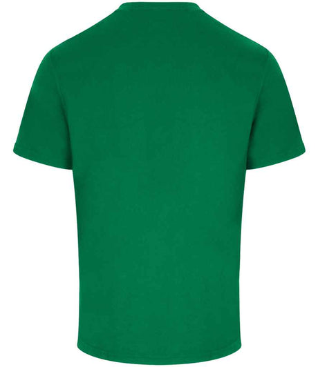 RX151 Kelly Green Back