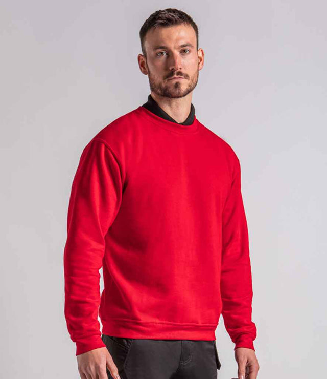 RX301 Red Model