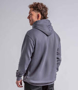 RX350 Solid Grey Model