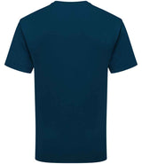 SS640 Mountain Blue Back